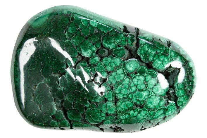 Flowery Polished Malachite Specimen - DR Congo #305217